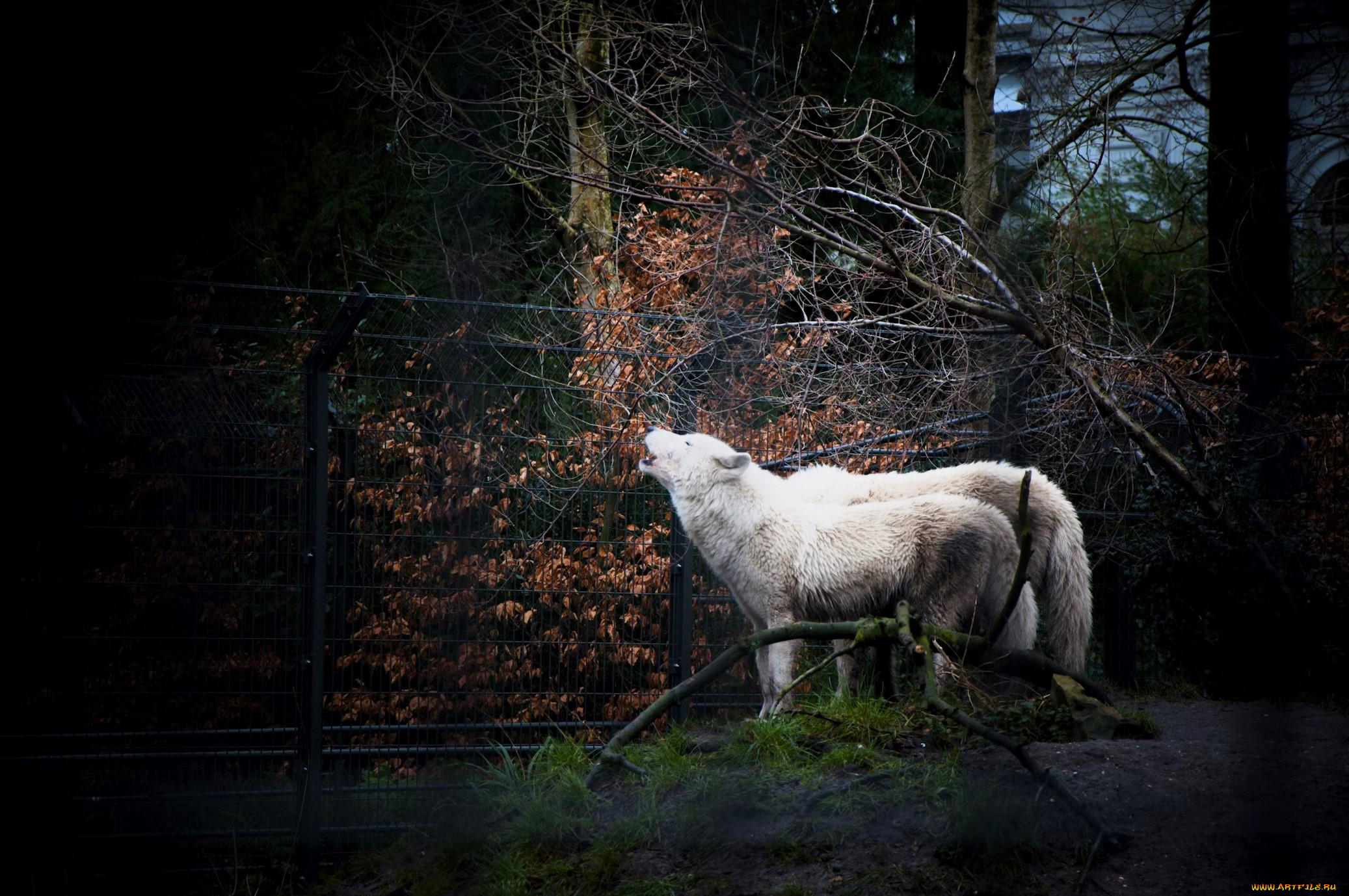 ��������, �����,  ������,  ������, �����, ���, �����, �����, ���